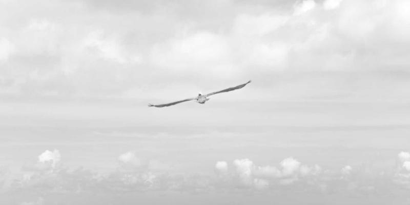 工业设备76：机械制造的核心驱动力与智能化解决方案