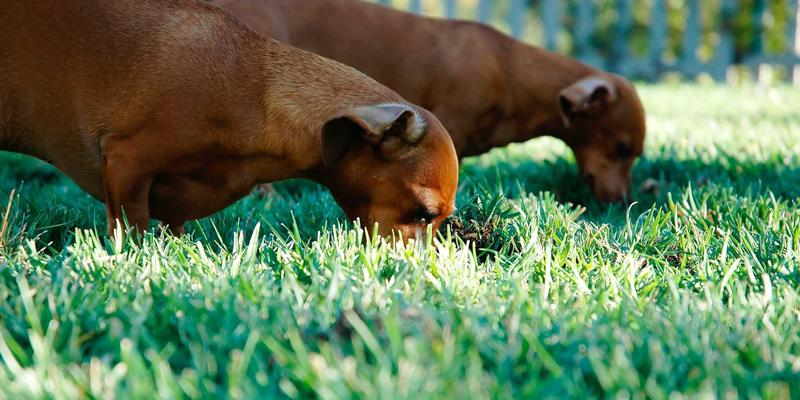 精密机械与设备制造：工业解决方案中的安全操作规程与事故预防